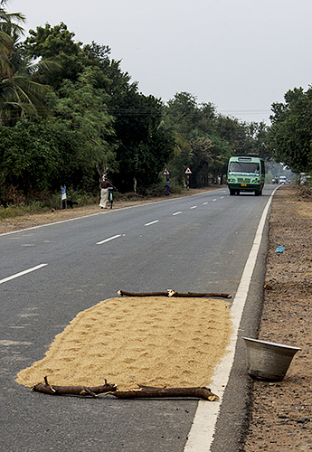 Drying Rice-Kumbakkonam